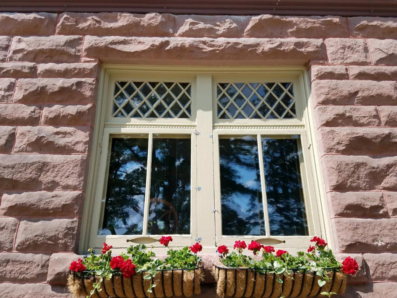 Pinehurst Inn Bed & Breakfast Bayfield Eksteriør bilde